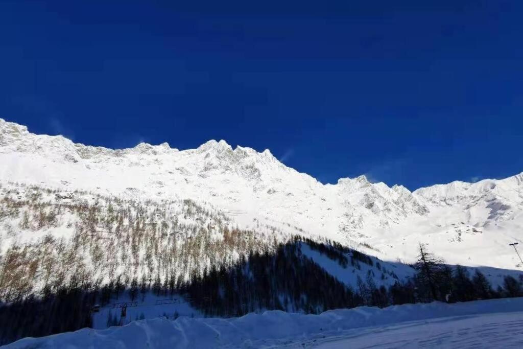 Homey Apartment In The Heart Of Cervinia ブレウイル・チェルヴィナイア エクステリア 写真